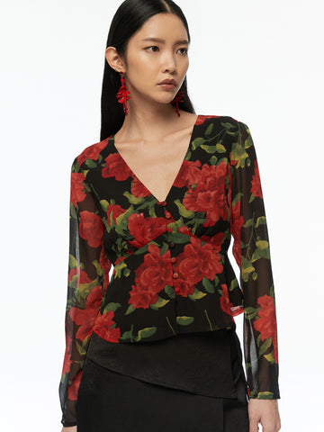 Printed V-Neck Long Sleeve Top